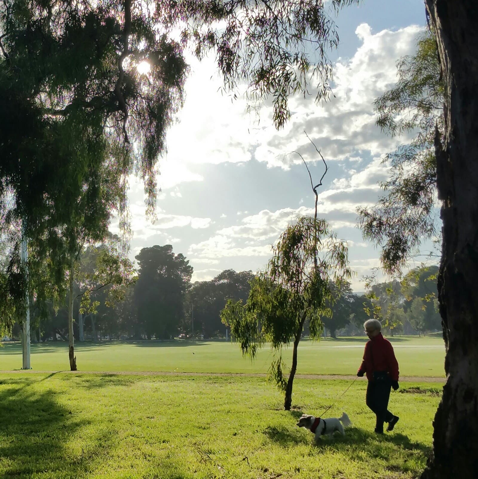 Park 10 — North Adelaide, Adelaide