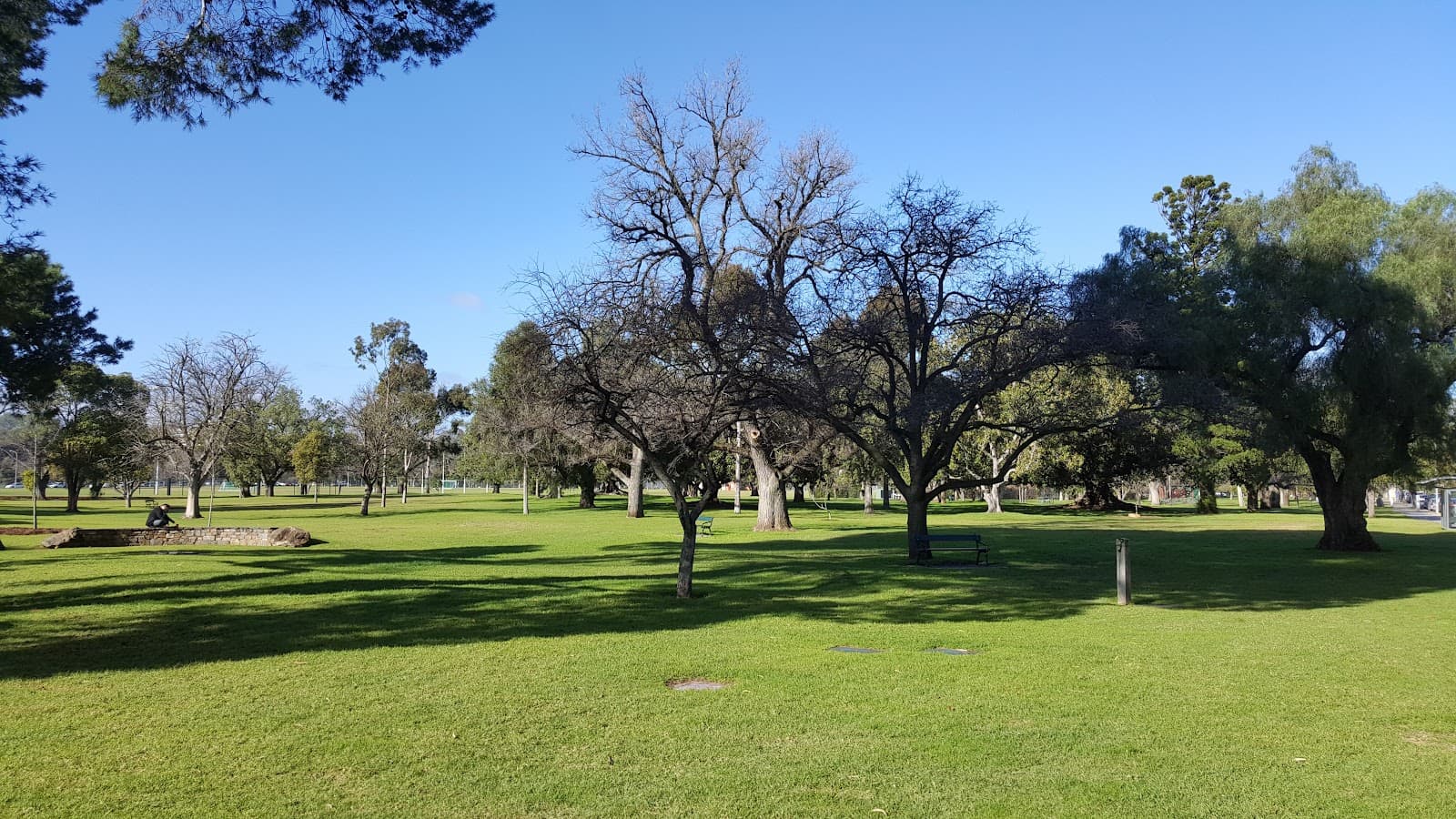 Red Gum Park (Park 12) — North Adelaide, Adelaide