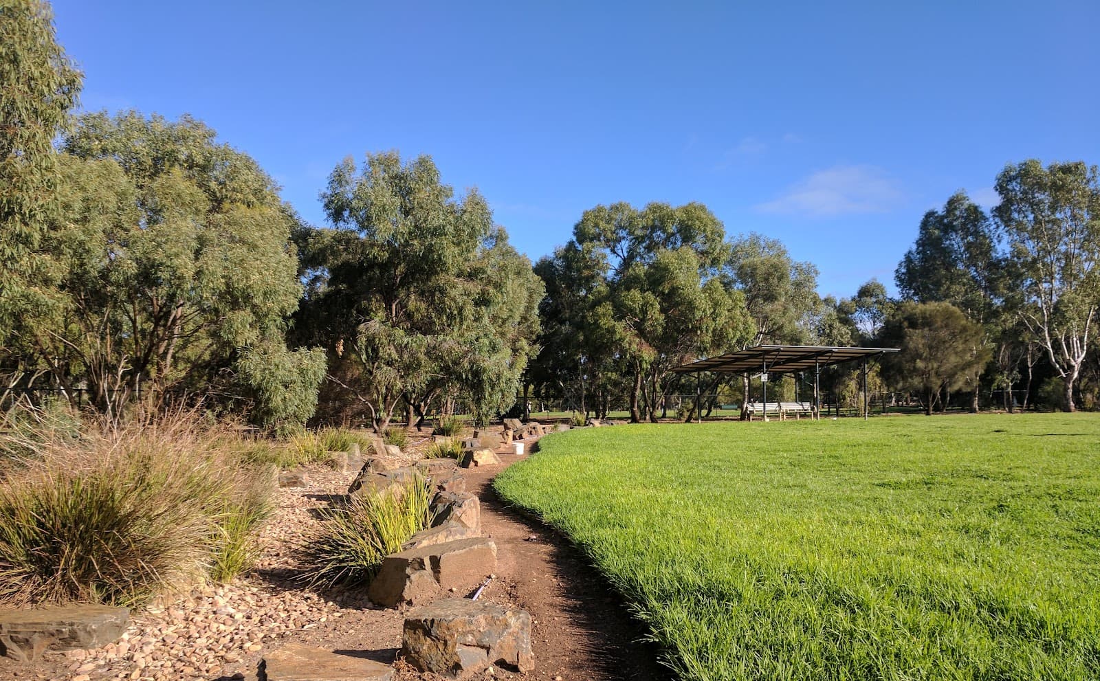 Bragg Park (Park 5) — North Adelaide, Adelaide