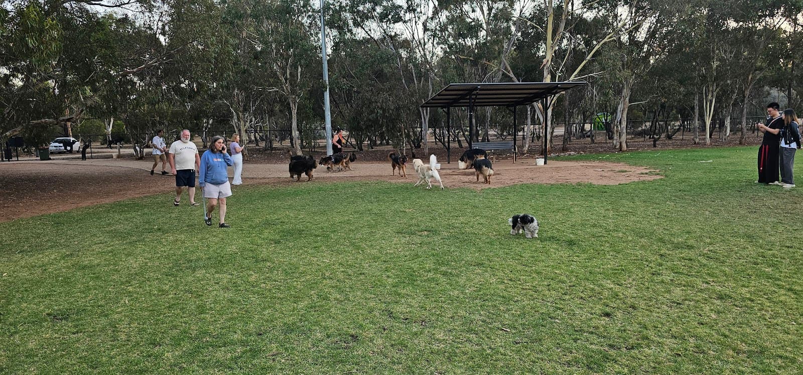Bragg Park (Park 5) — North Adelaide, Adelaide