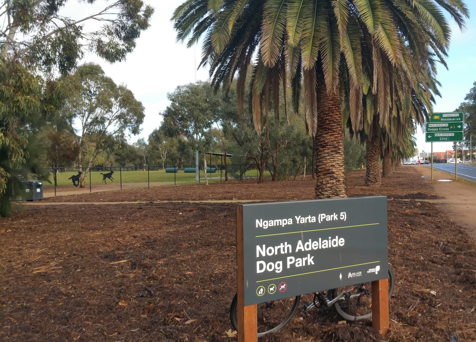 Bragg Park (Park 5) — North Adelaide, Adelaide