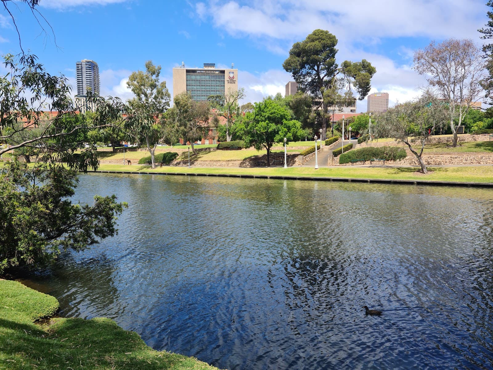 Angas Gardens — North Adelaide, Adelaide