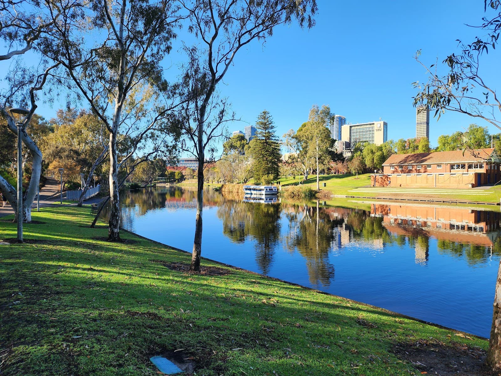 Angas Gardens — North Adelaide, Adelaide