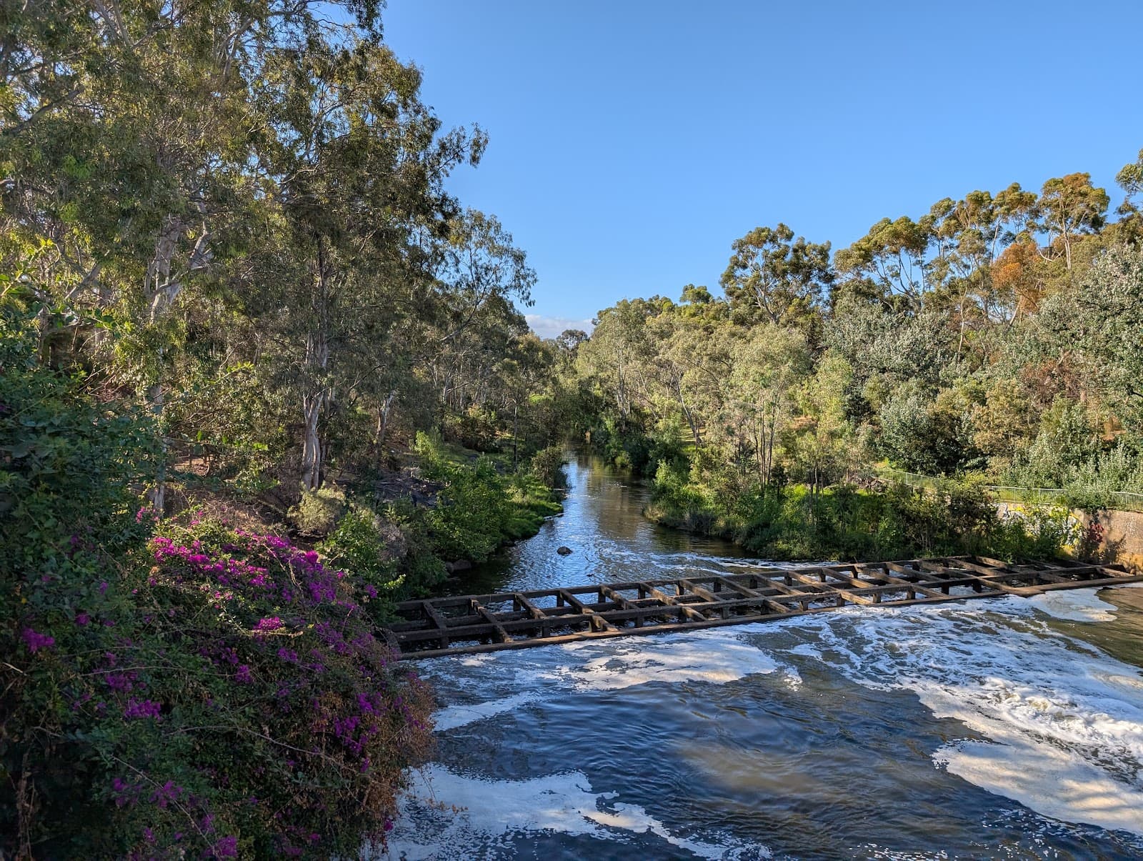 Possum Park (Park 1) — North Adelaide, Adelaide