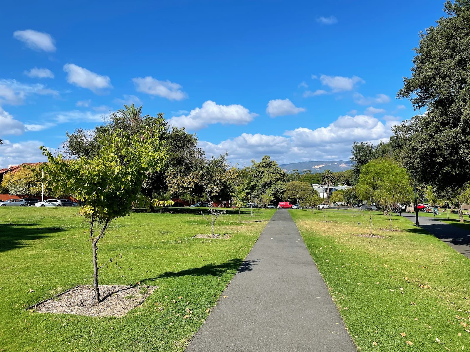 Brougham Gardens (Park 29) — North Adelaide, Adelaide