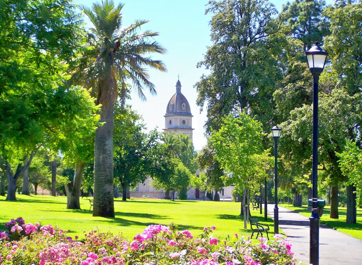 Brougham Gardens (Park 29) — North Adelaide, Adelaide