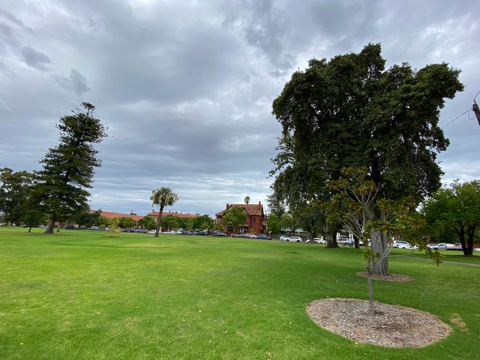 Palmer Gardens (Park 28) — North Adelaide, Adelaide