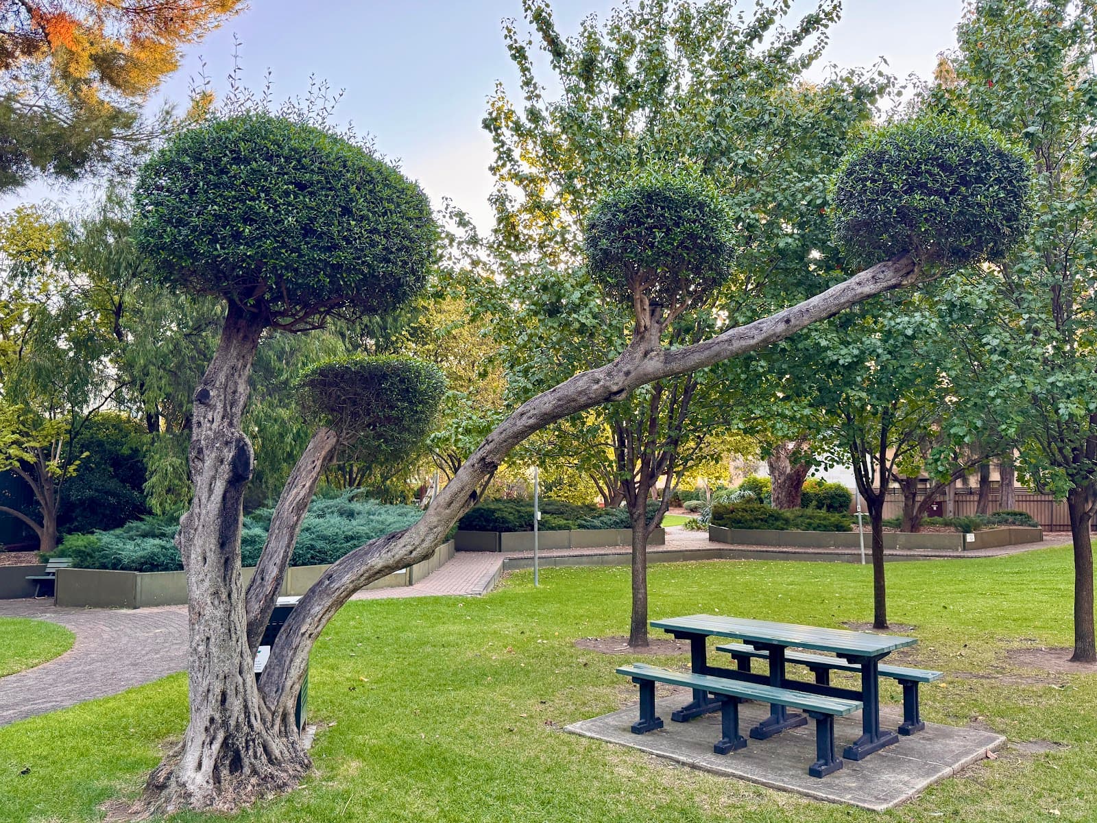 Richards Park — Norwood, Adelaide