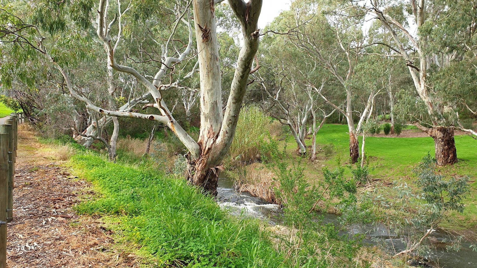 Twelftree Reserve — Norwood, Adelaide