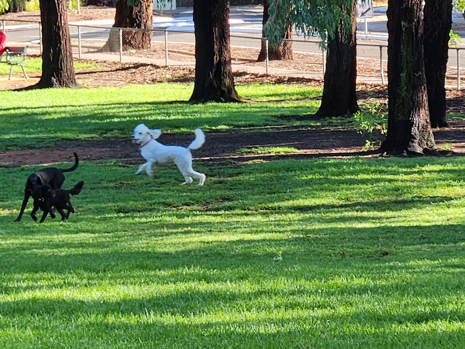 Hannaford Reserve — Norwood, Adelaide