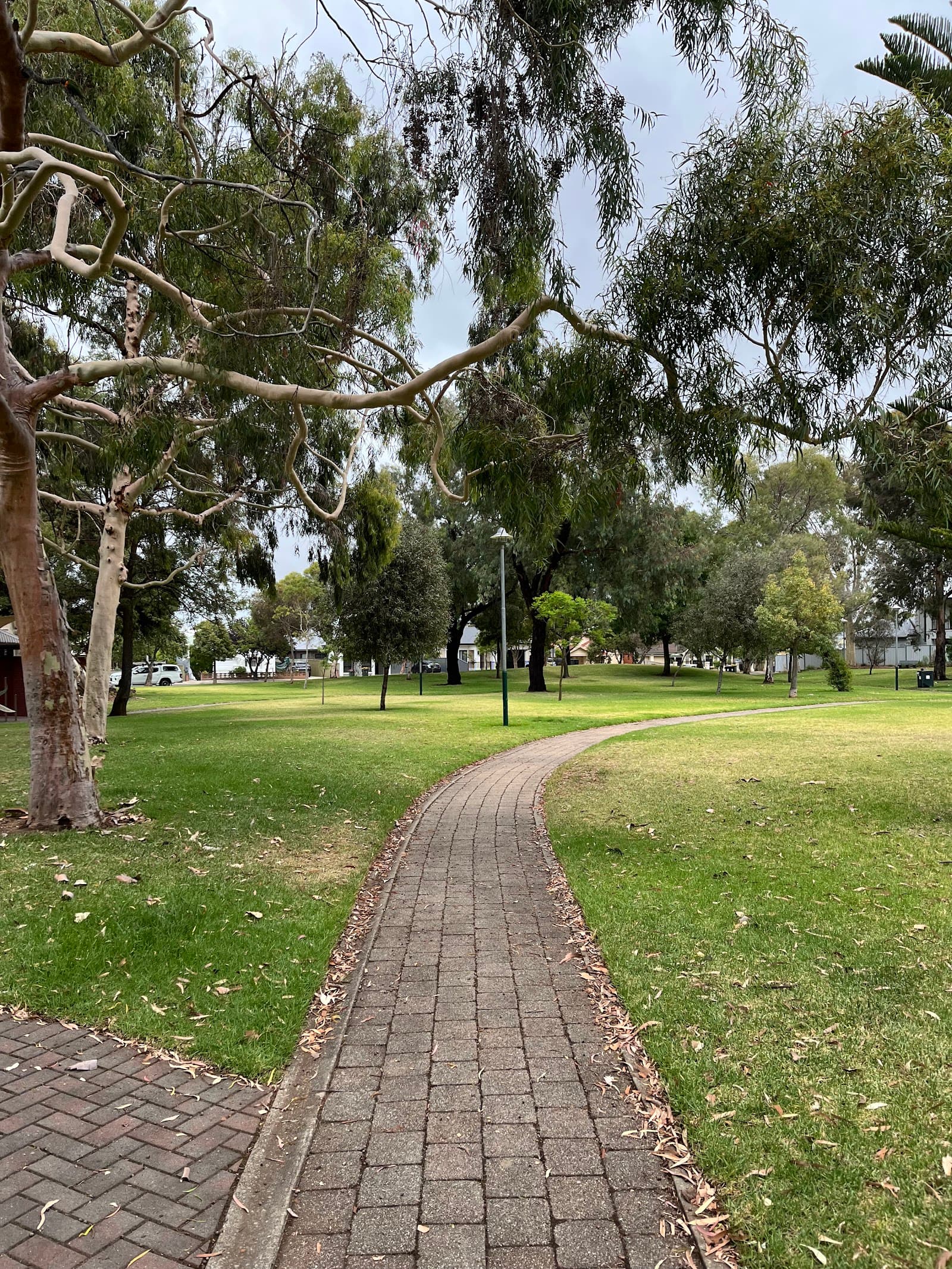 Koster Park — Norwood, Adelaide