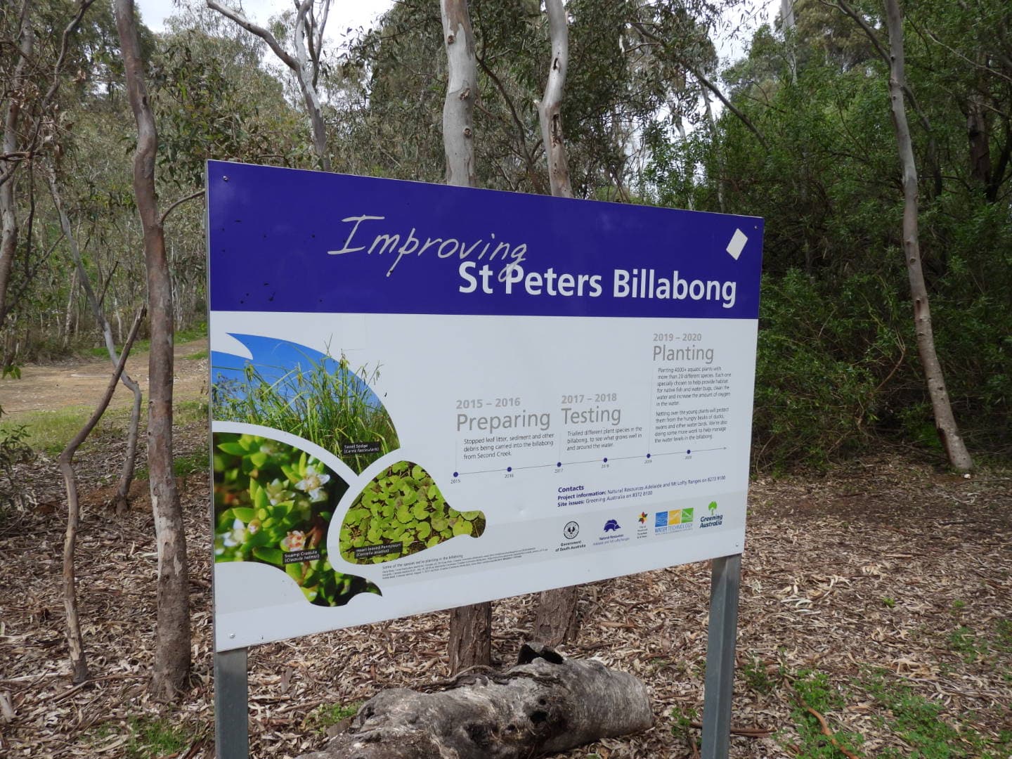 St Peters River Park — St Peters, Adelaide