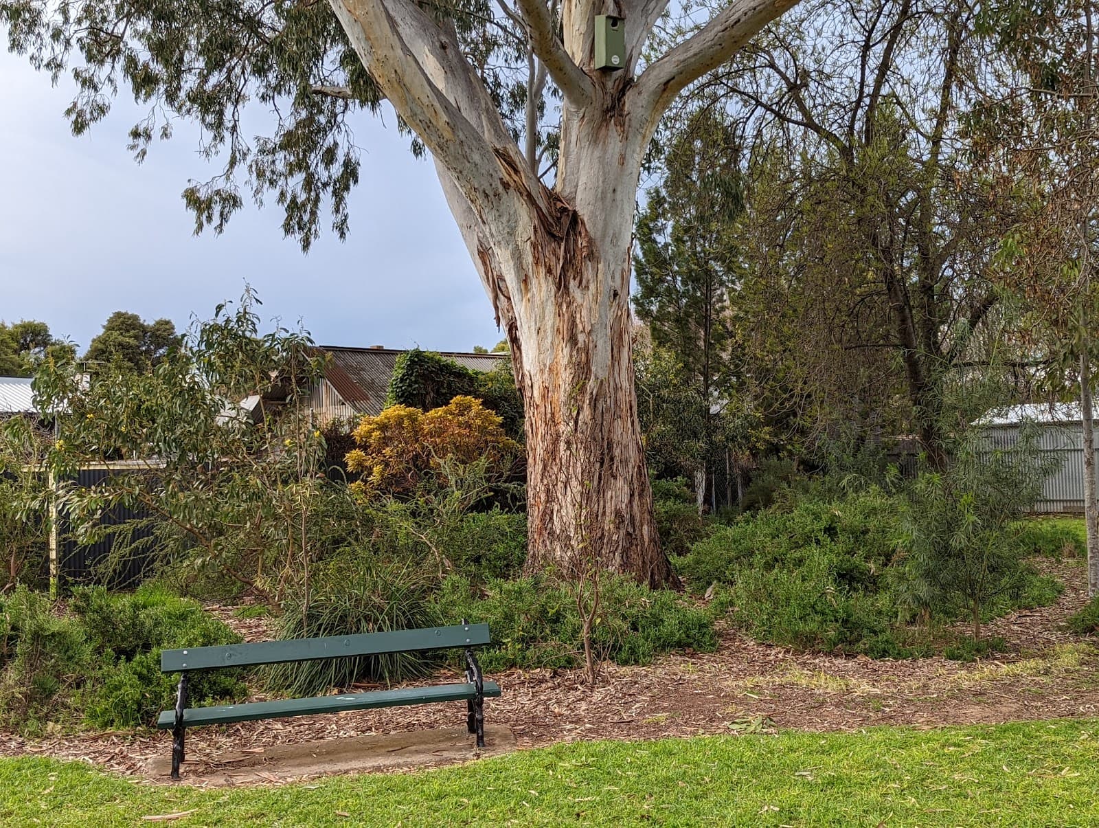 Henry Codd Reserve — Unley, Adelaide