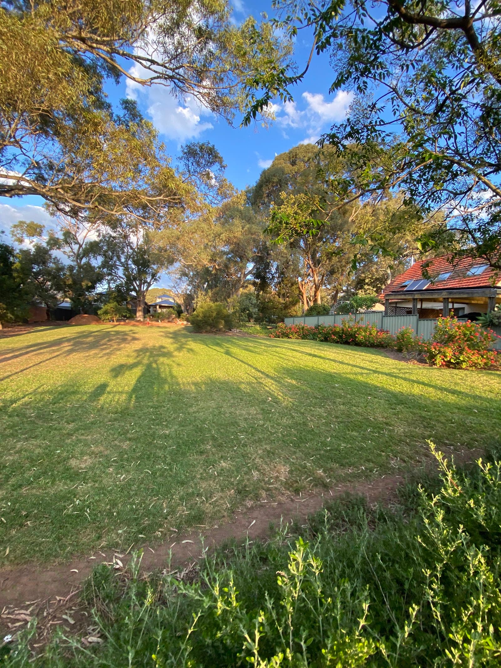 Fraser Reserve — Unley, Adelaide
