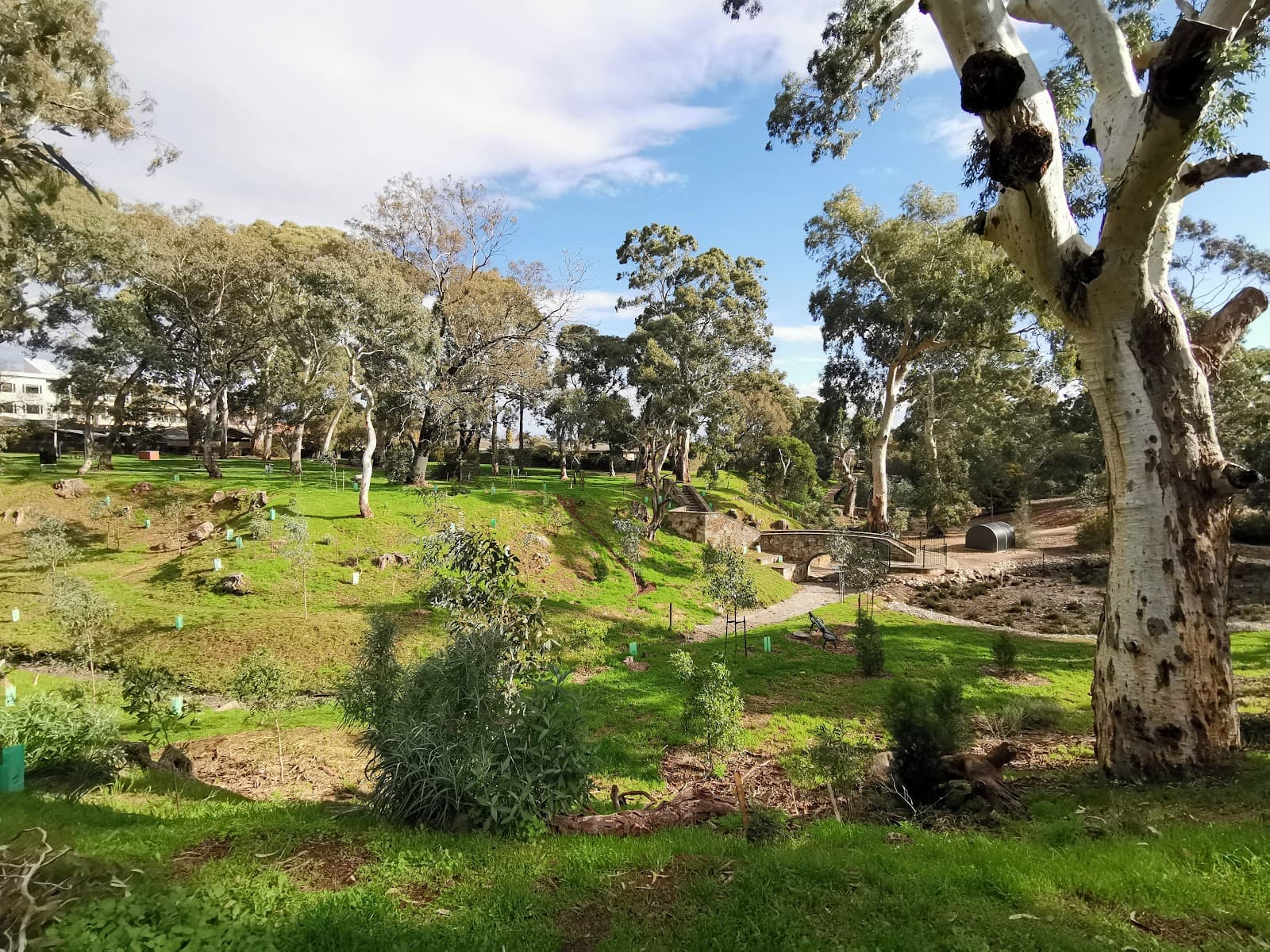 Ridge Park — Unley, Adelaide