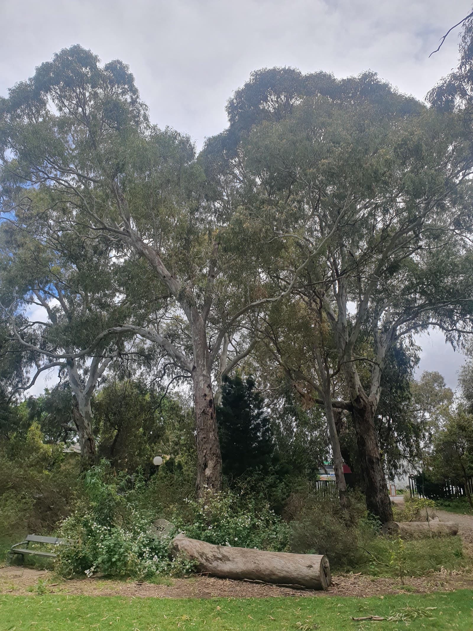 Fullarton Park — Unley, Adelaide