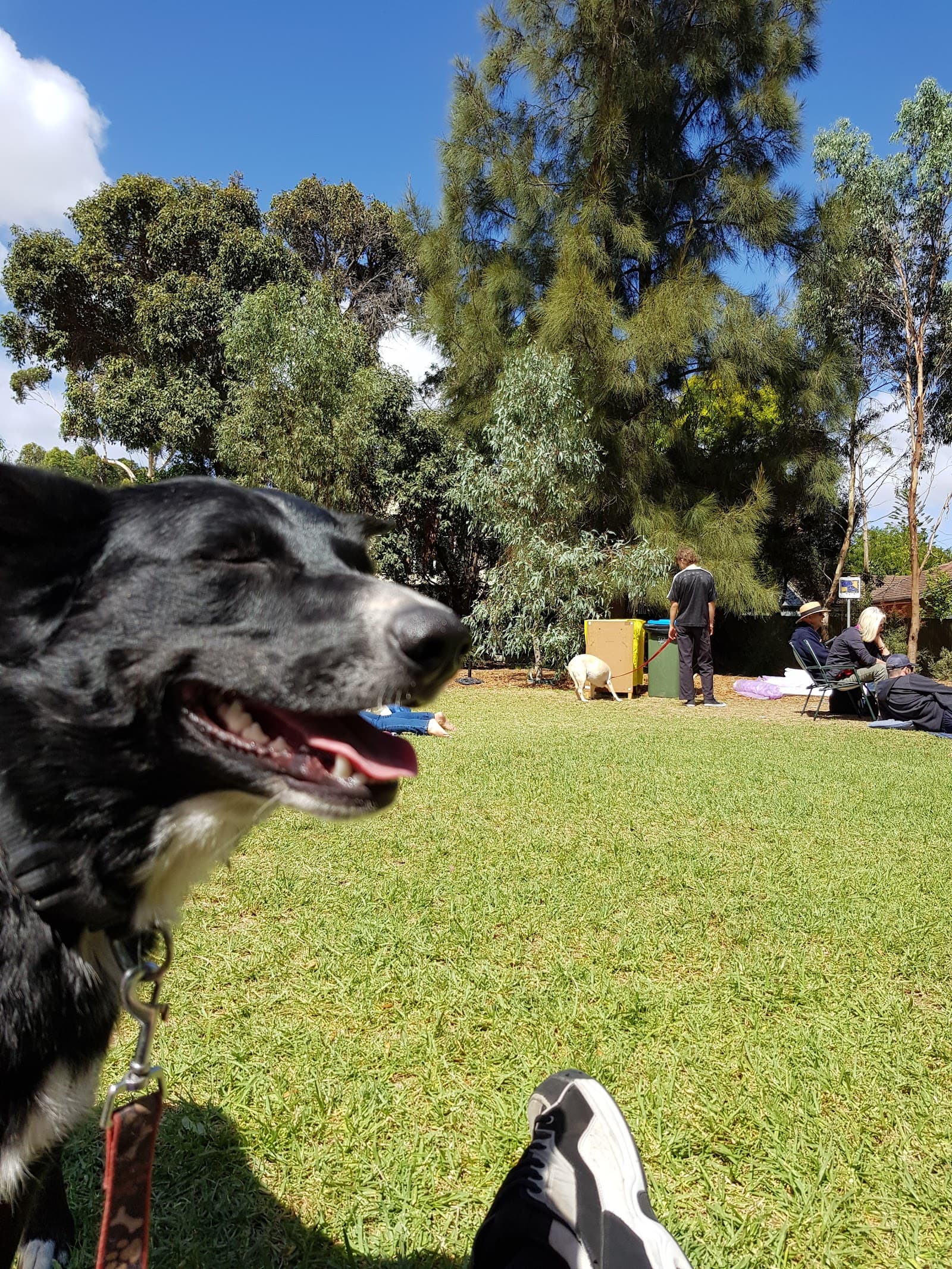 Orphanage Park — Mitcham, Adelaide