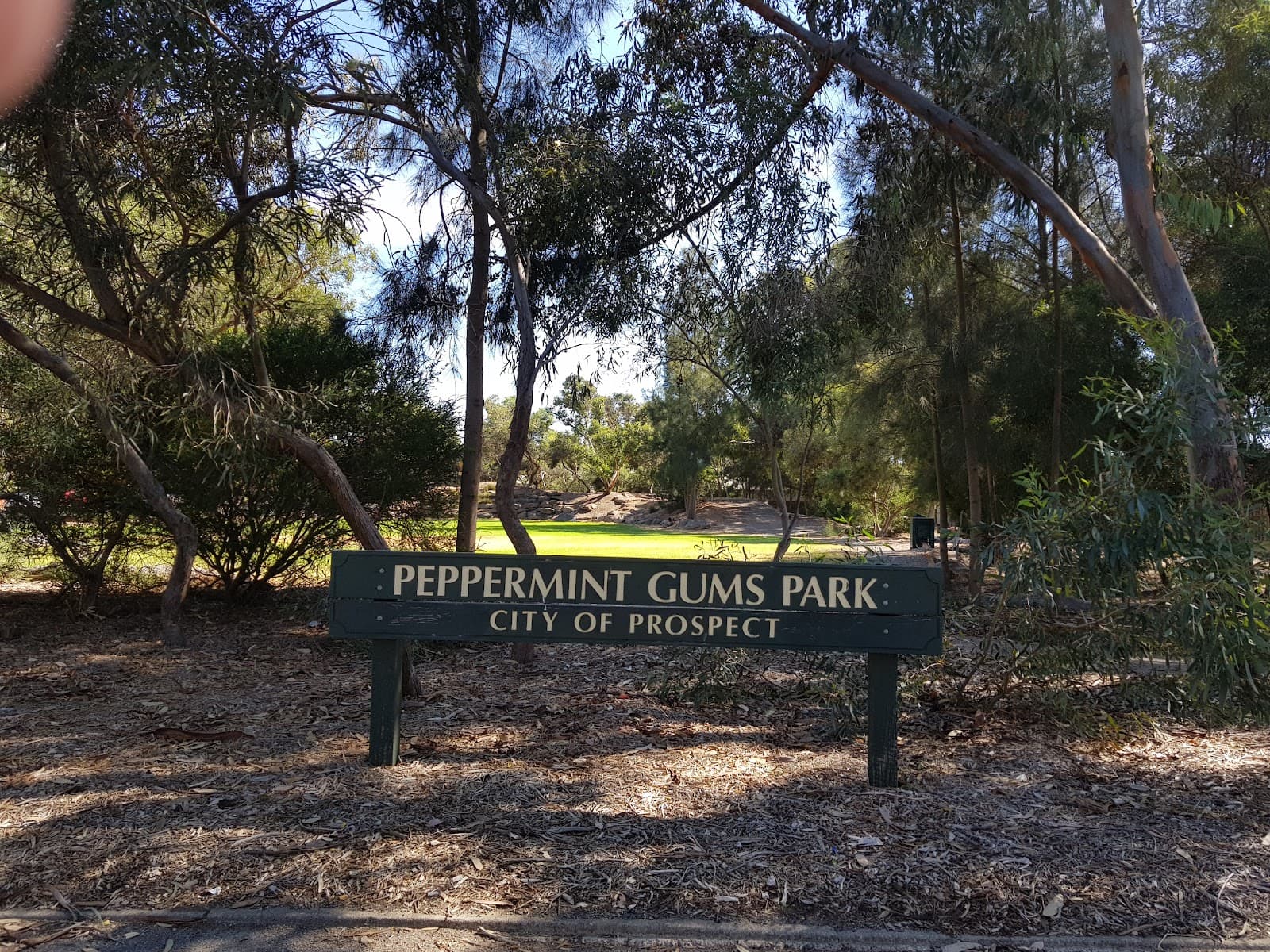 Peppermint Gums Park — Prospect, Adelaide