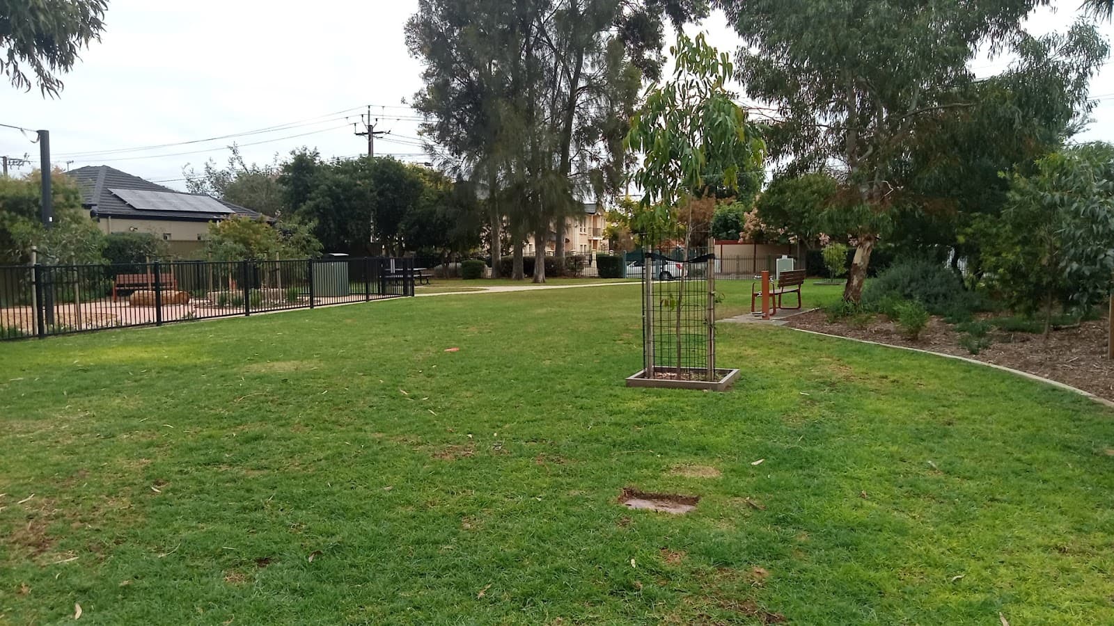 Percy Street Park — Prospect, Adelaide