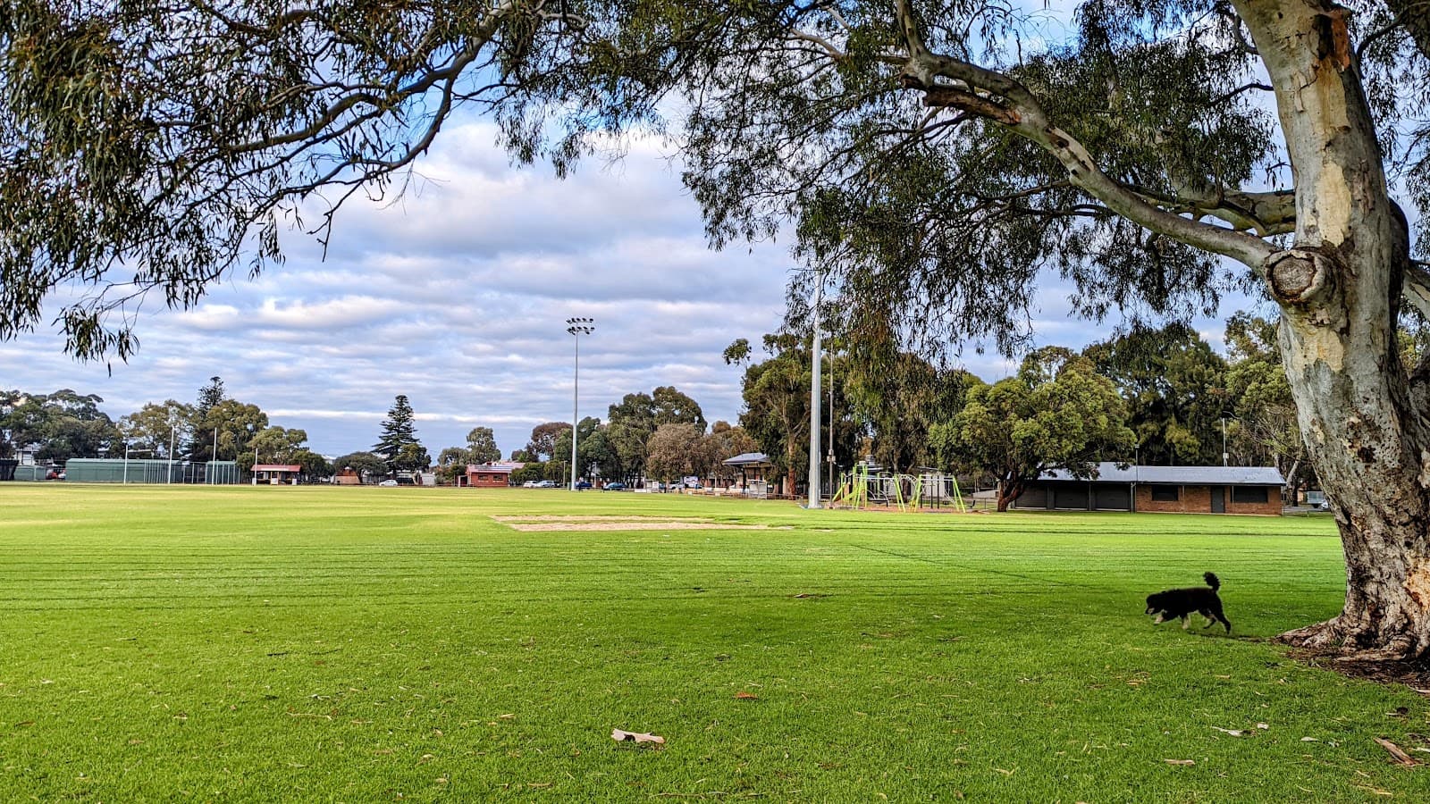 Henley & Grange Memorial Oval — Henley Beach, Adelaide