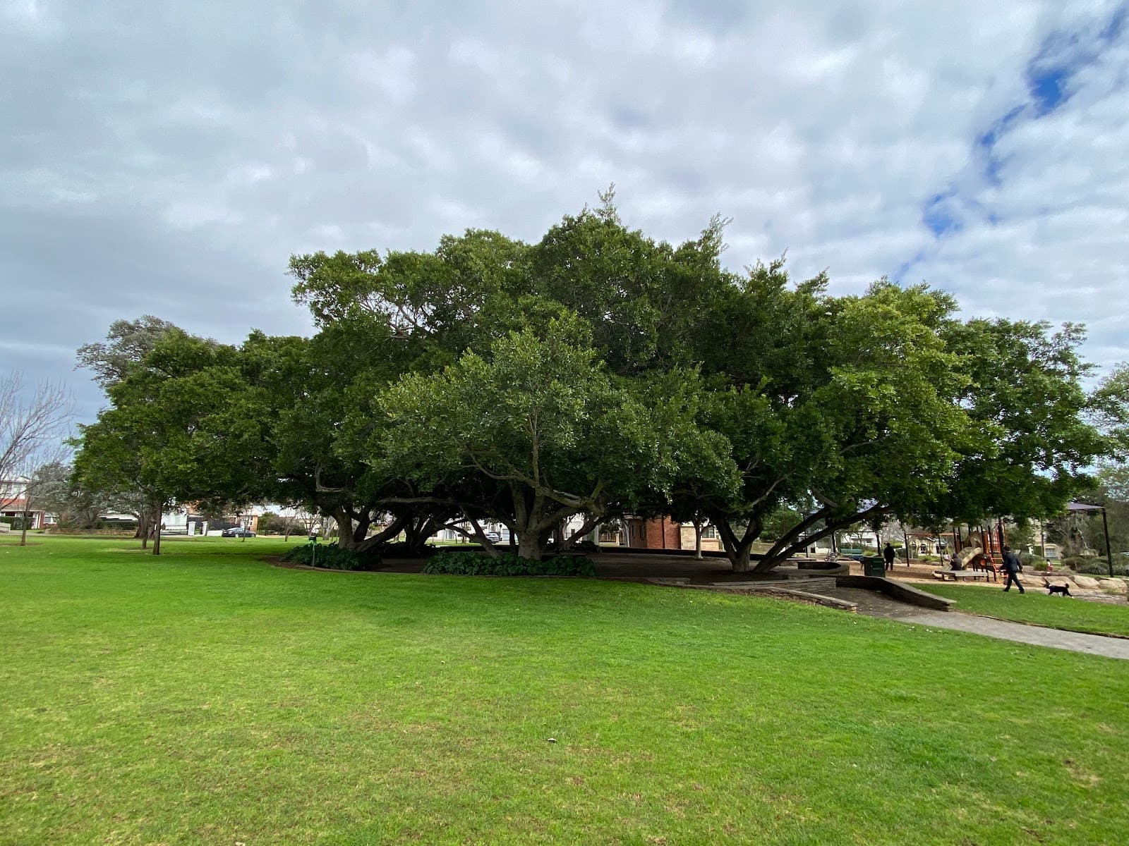 Wood Park — Burnside, Adelaide