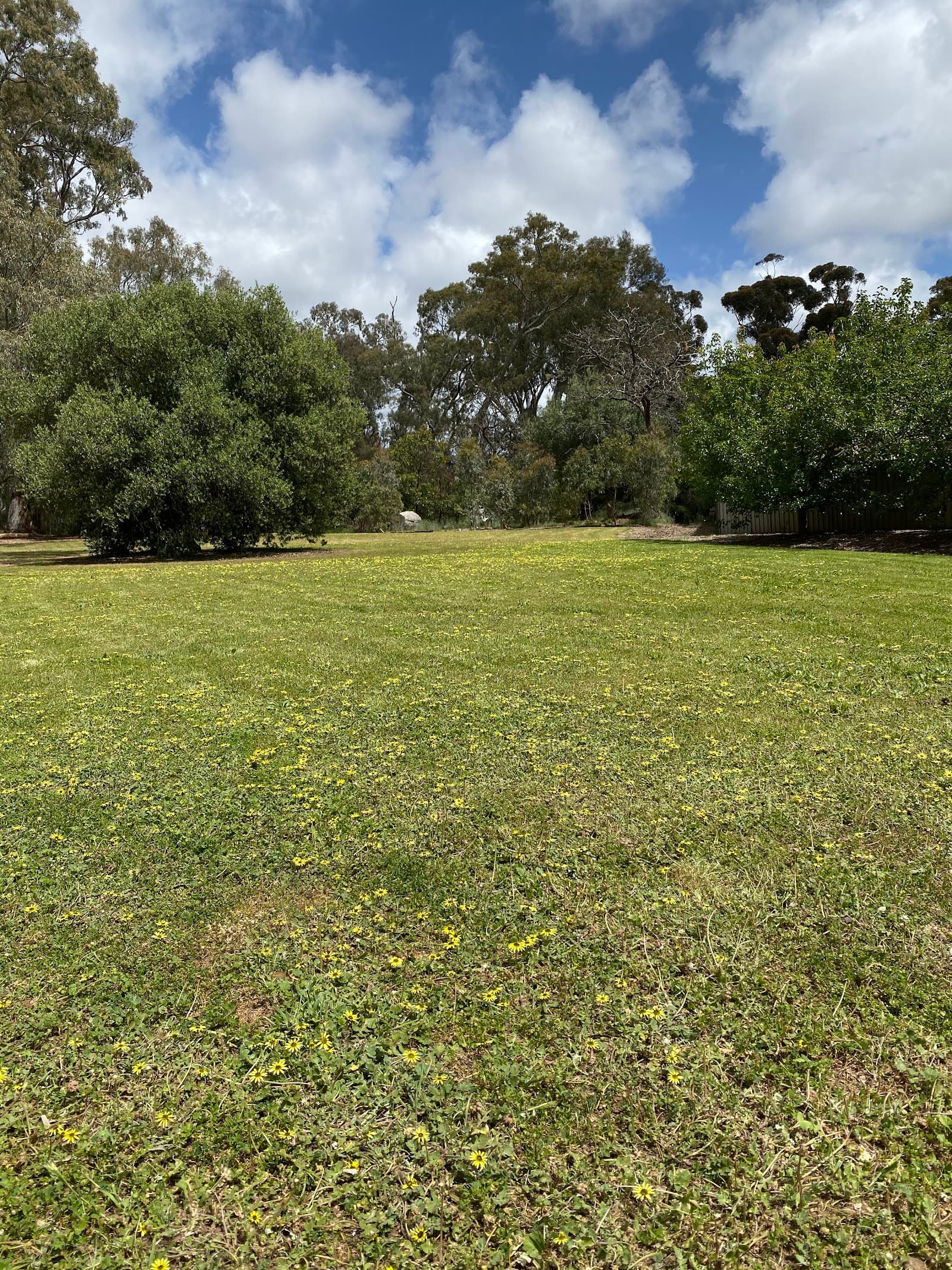Bell Yett Reserve — Burnside, Adelaide
