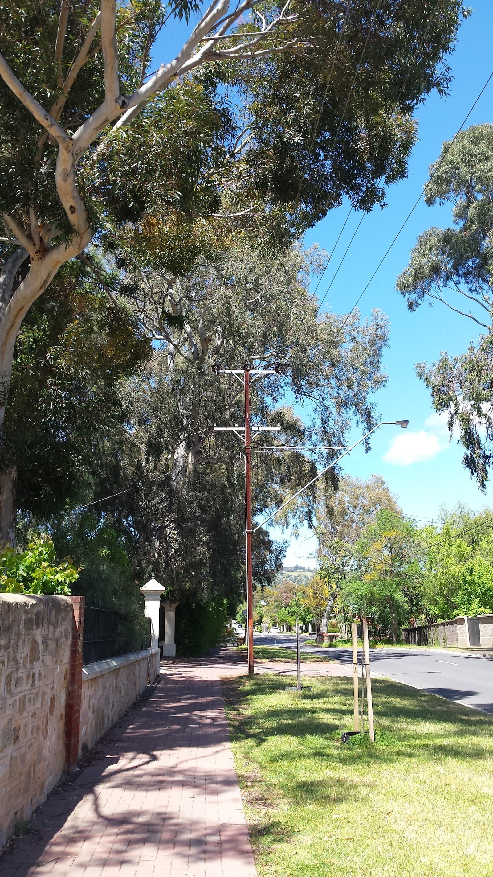 Newland Park — Burnside, Adelaide