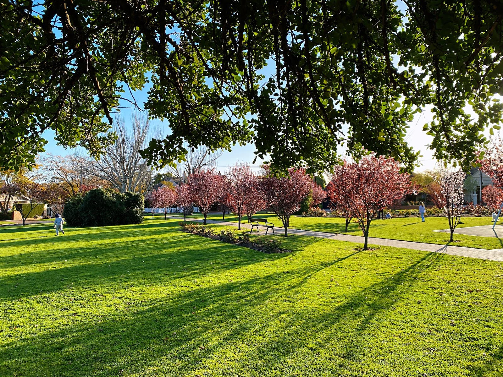 Fergusson Square — Burnside, Adelaide