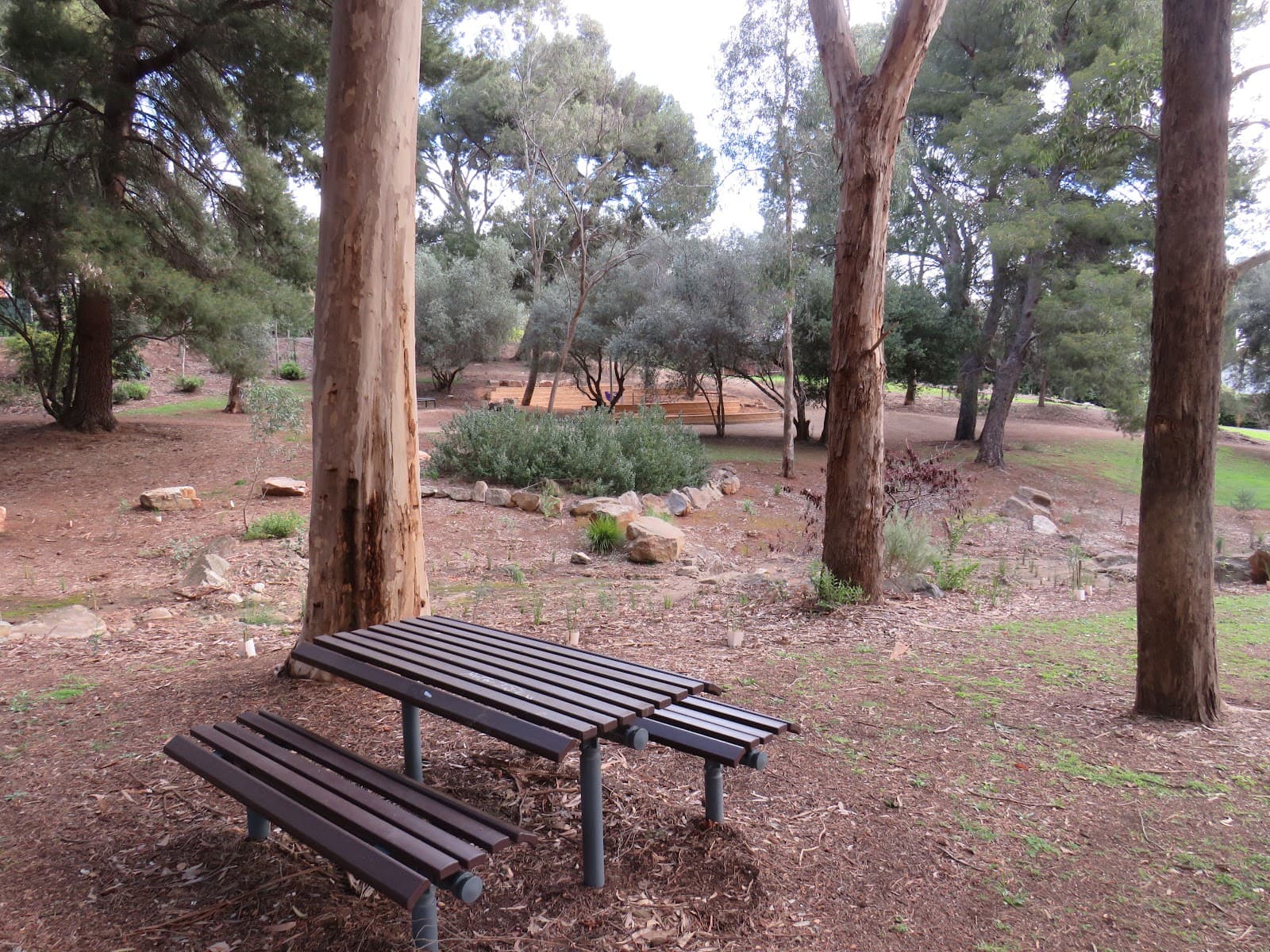 Brock Reserve — Burnside, Adelaide