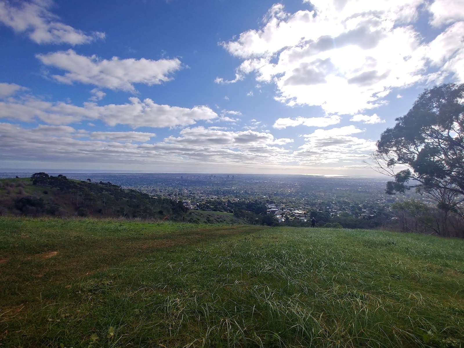 Brock Reserve — Burnside, Adelaide