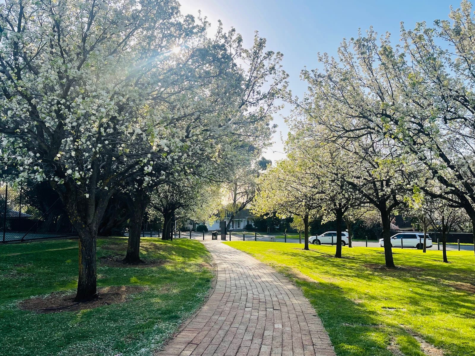 Penfold Park — Magill, Adelaide