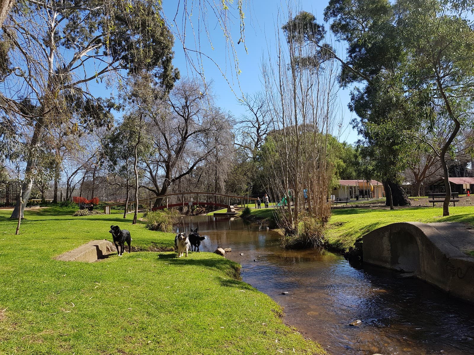 Mitcham Reserve — Mitcham, Adelaide