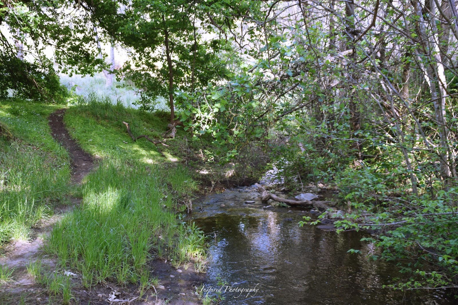 Brownhill Creek Recreation Park — Mitcham, Adelaide