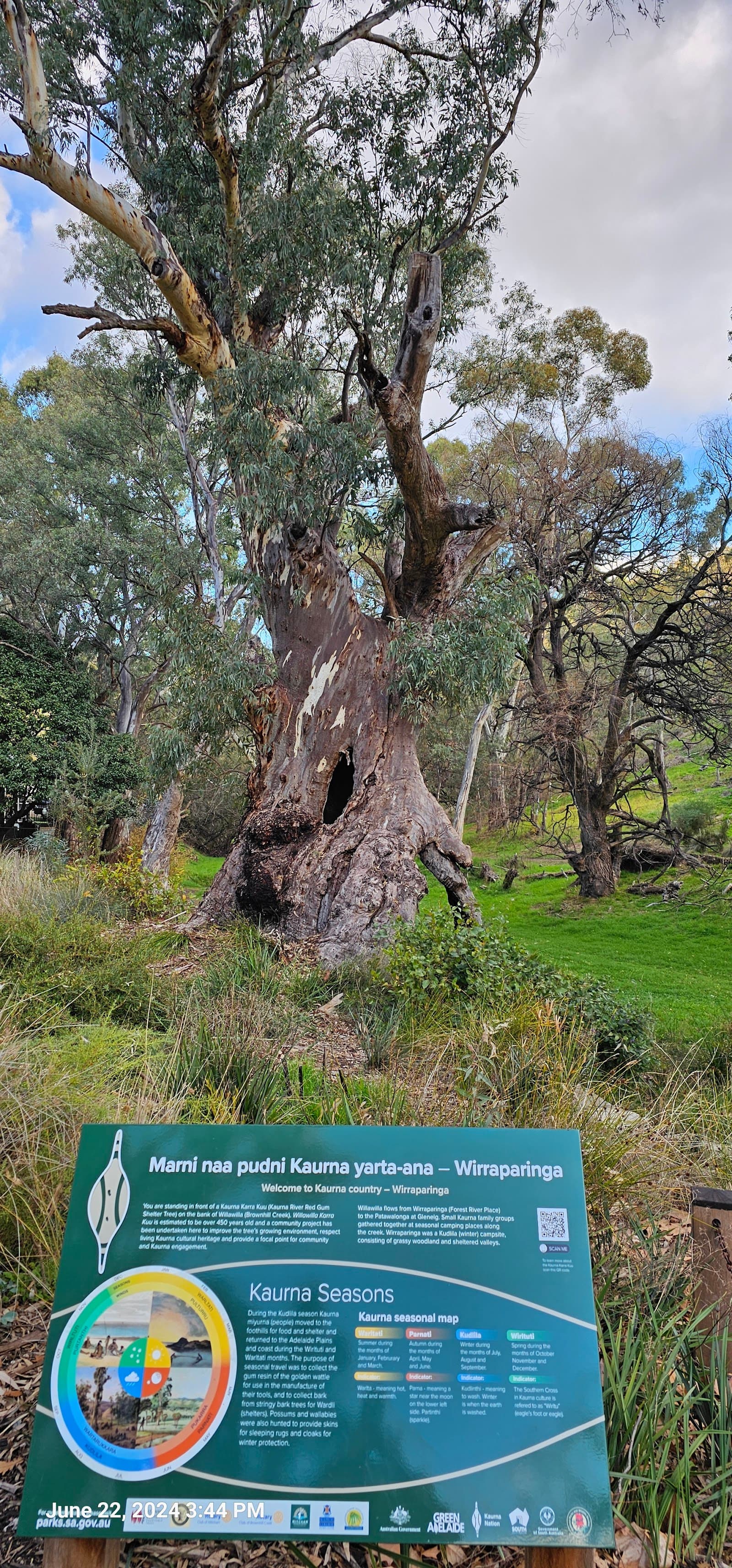 Brownhill Creek Recreation Park — Mitcham, Adelaide