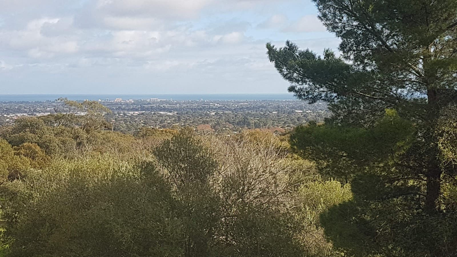 Randell Park Reserve — Mitcham, Adelaide