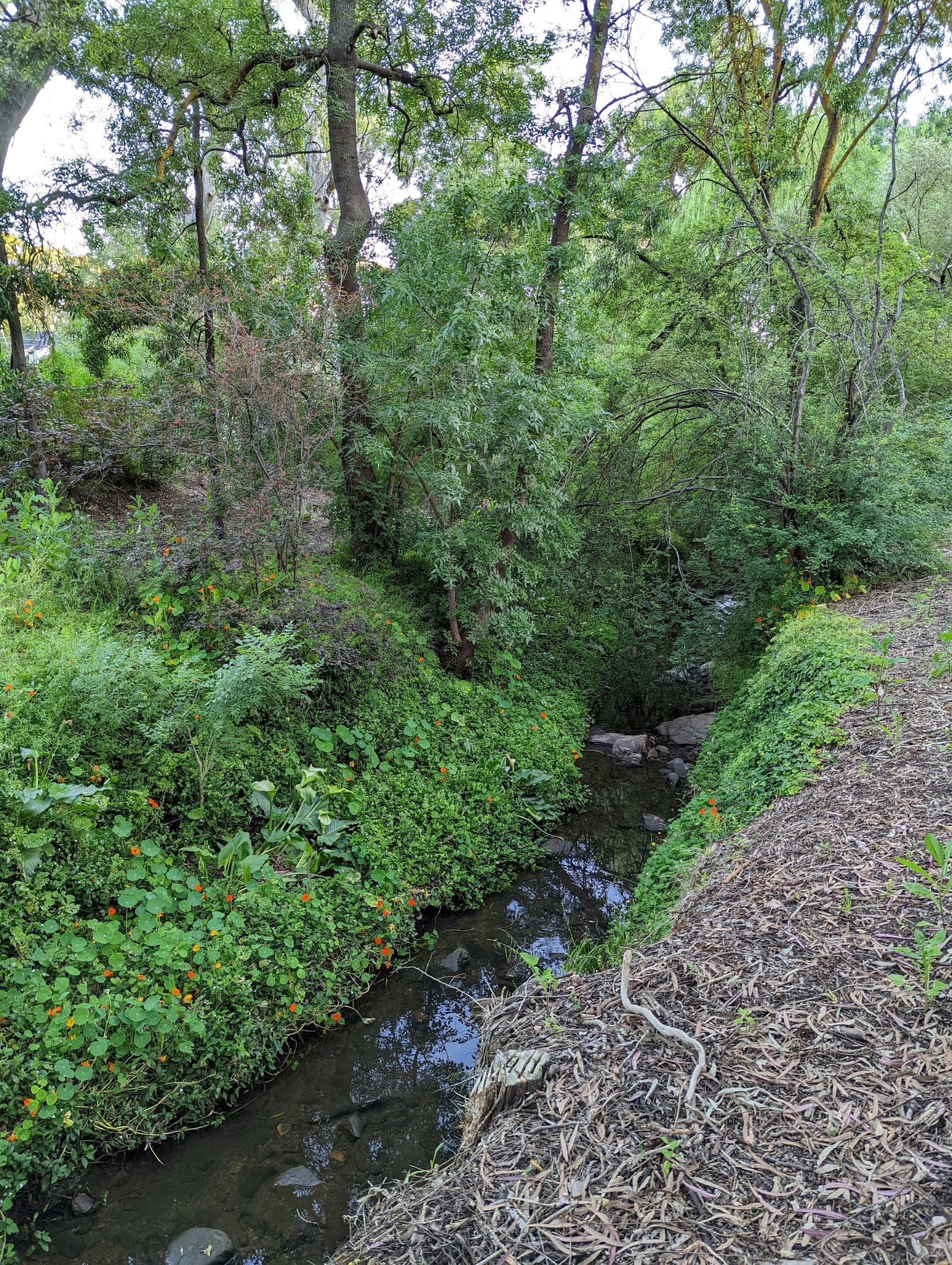 Apex Park — Hawthorndene, Adelaide