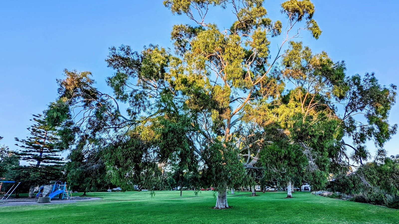 Good Neighbour Gardens — Brighton, Adelaide