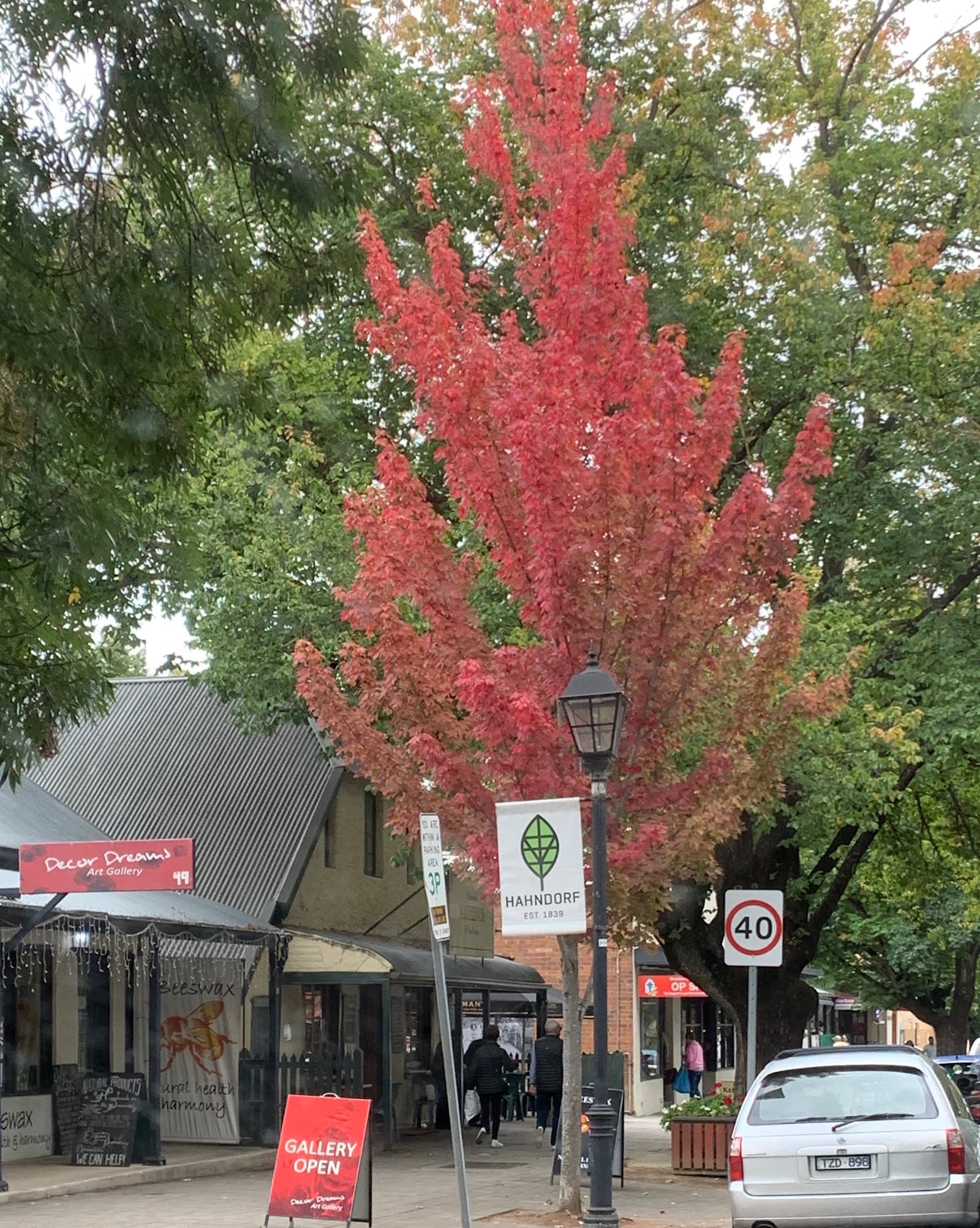 Carl Nitschke Public Carpark — Hahndorf, Adelaide
