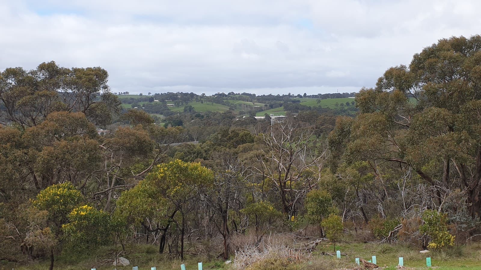 Blueberry Hill Lions Lookout — Hahndorf, Adelaide