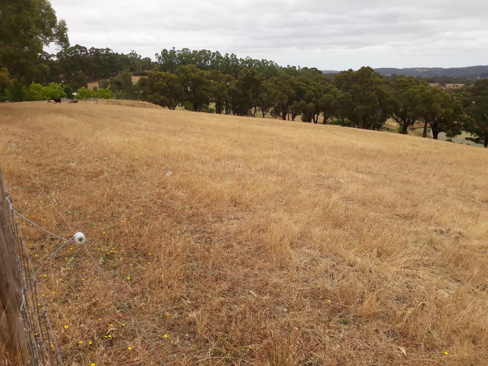 Blueberry Hill Lions Lookout — Hahndorf, Adelaide