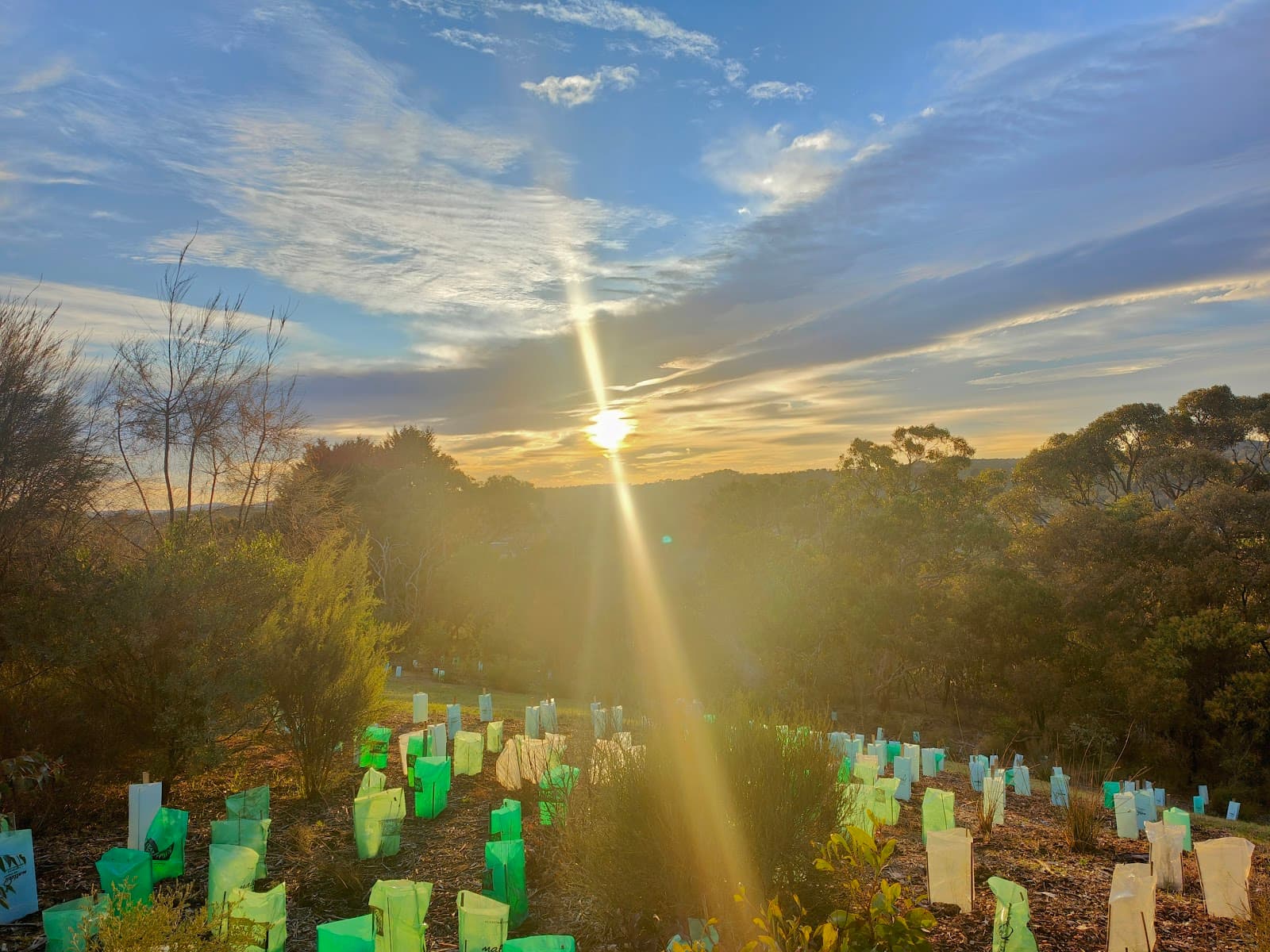 Blueberry Hill Lions Lookout — Hahndorf, Adelaide