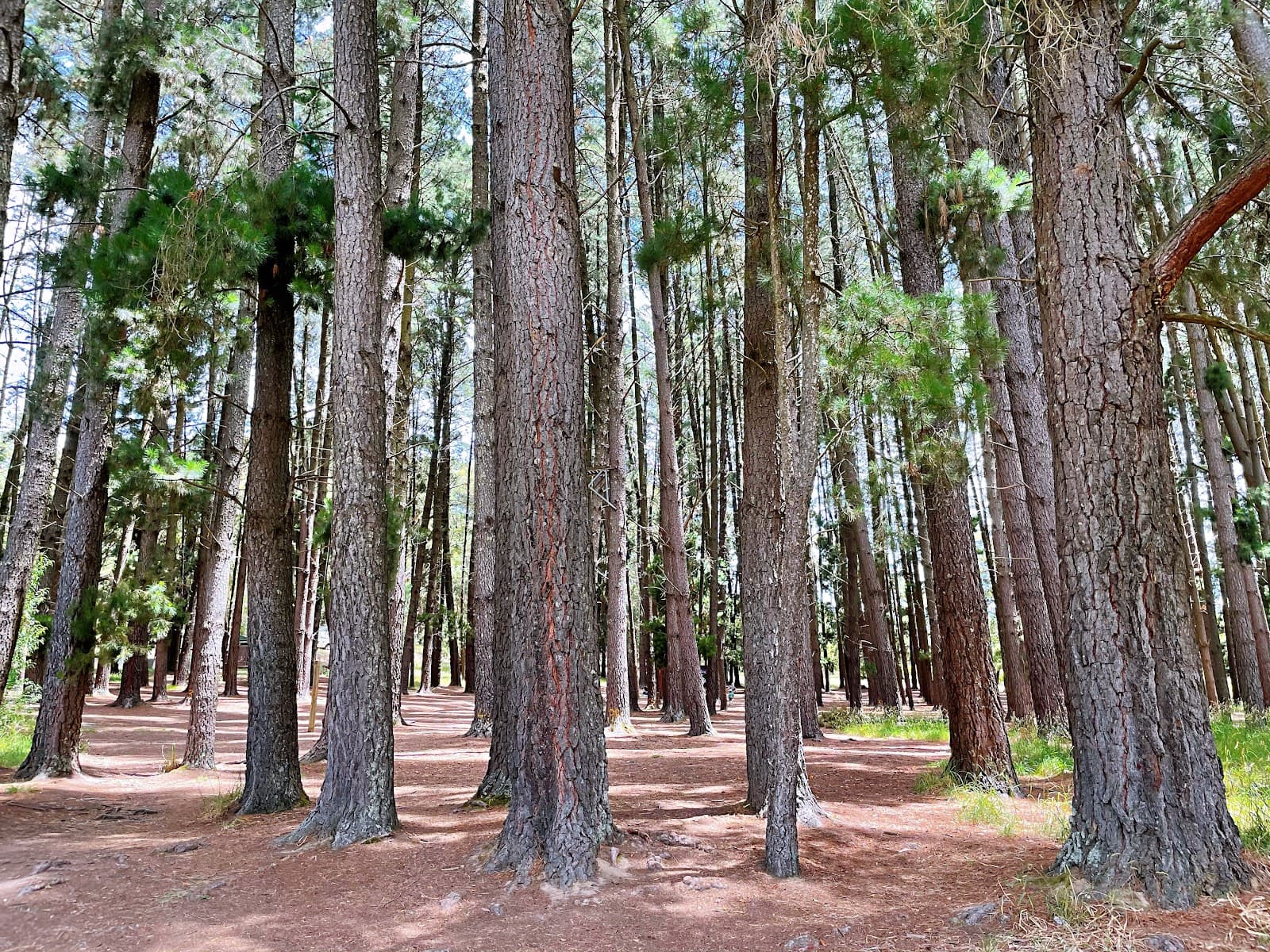 Woodhouse Adventure Park — Hahndorf, Adelaide