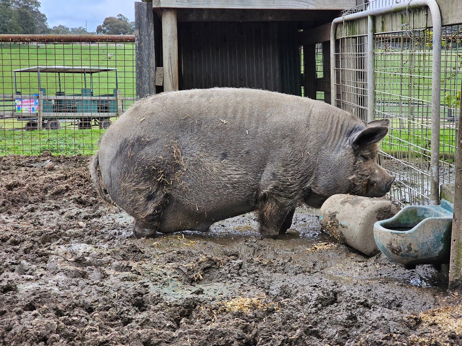 Hahndorf Farm Barn — Hahndorf, Adelaide