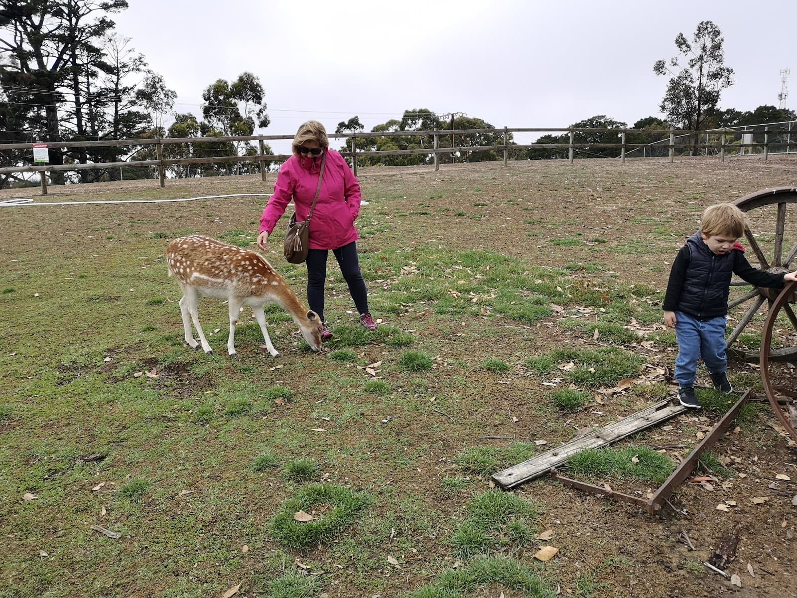 Hahndorf Farm Barn — Hahndorf, Adelaide