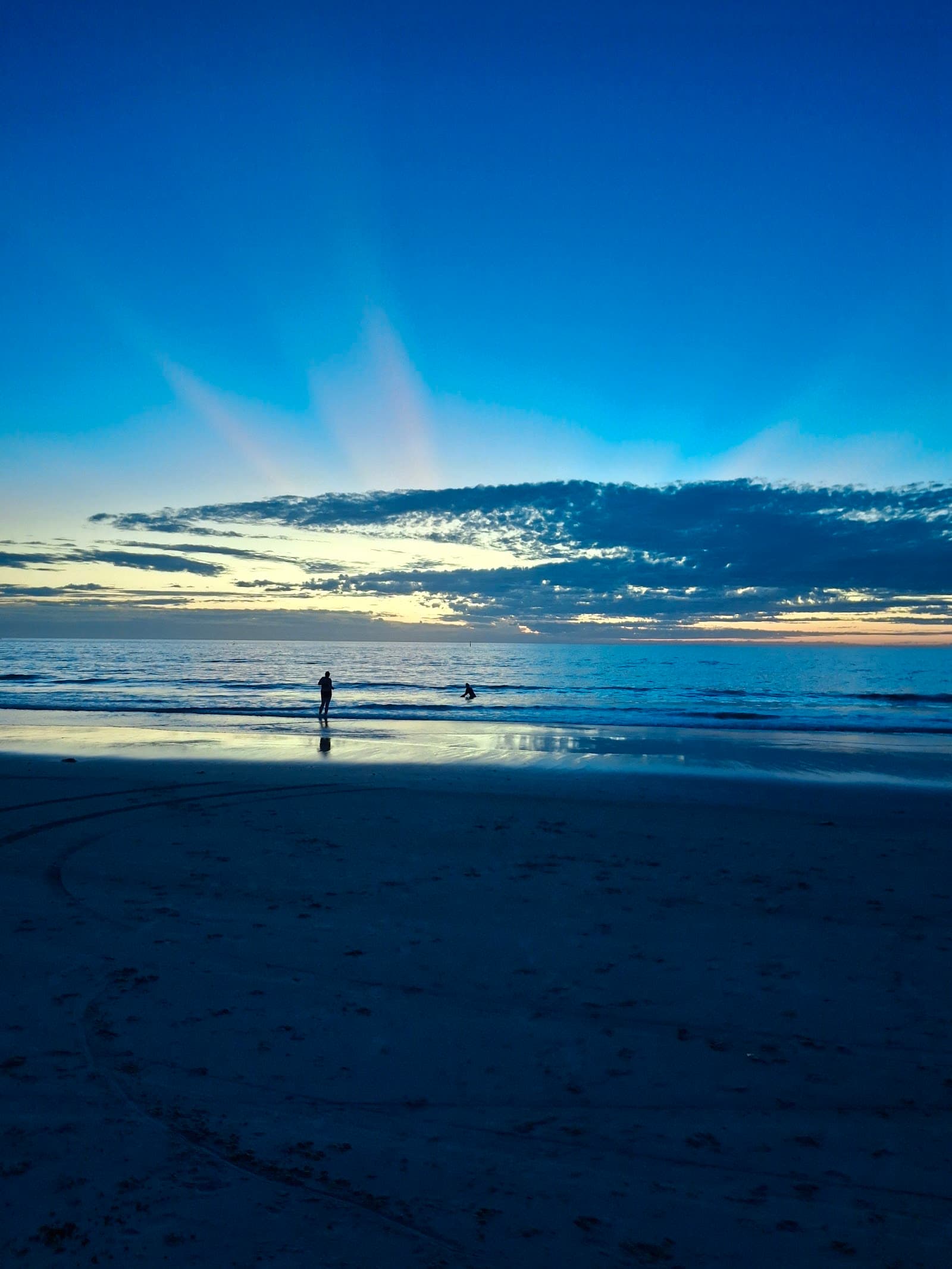 Glenelg North Dog-Friendly Beach — Norwood, Adelaide