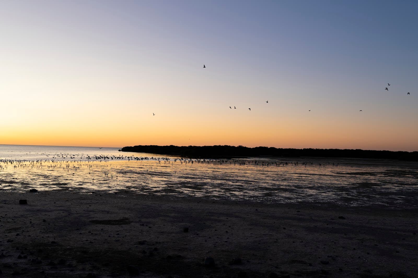 St Kilda Beach — Prospect, Adelaide