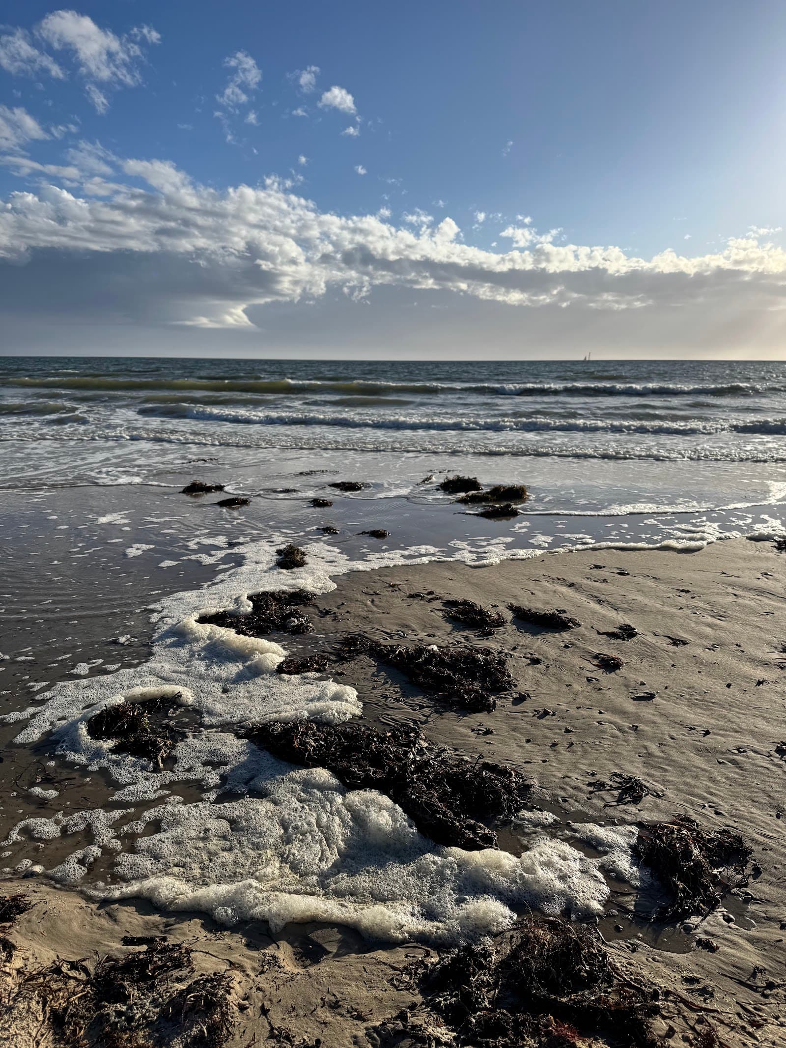 Seacliff Beach — Burnside, Adelaide