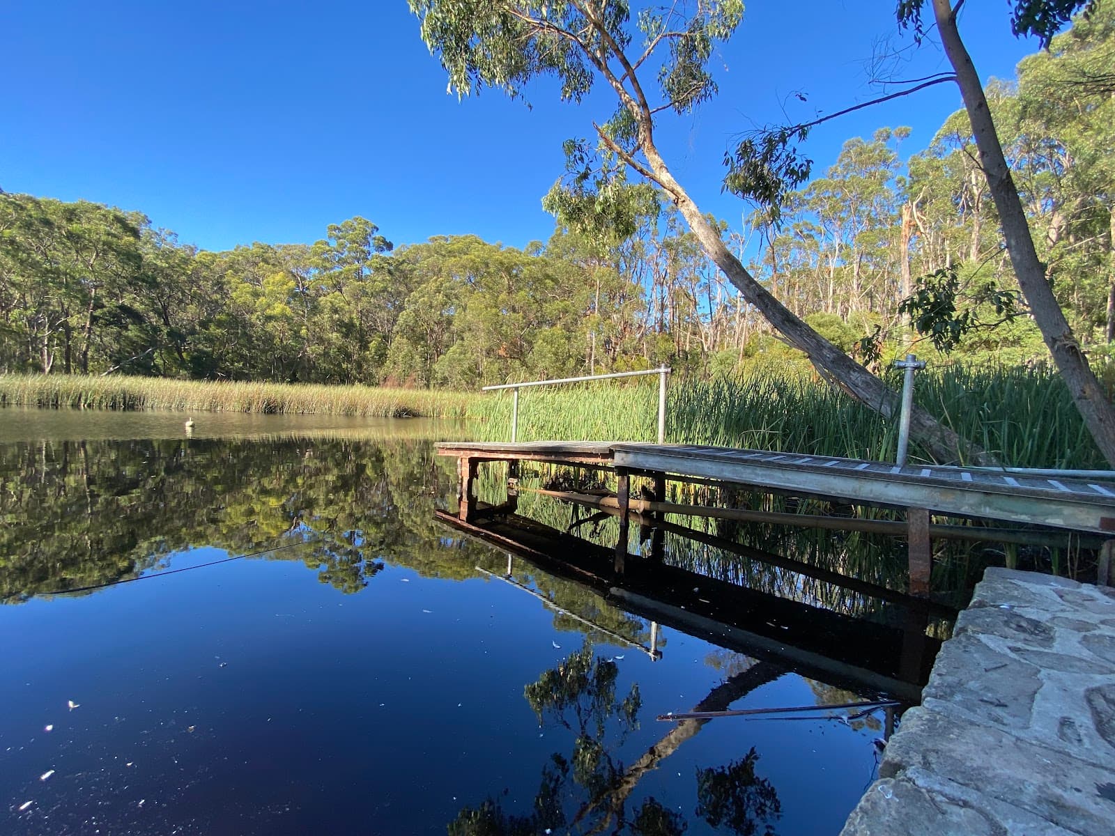 Woorabinda Bushland Reserve — Hahndorf, Adelaide