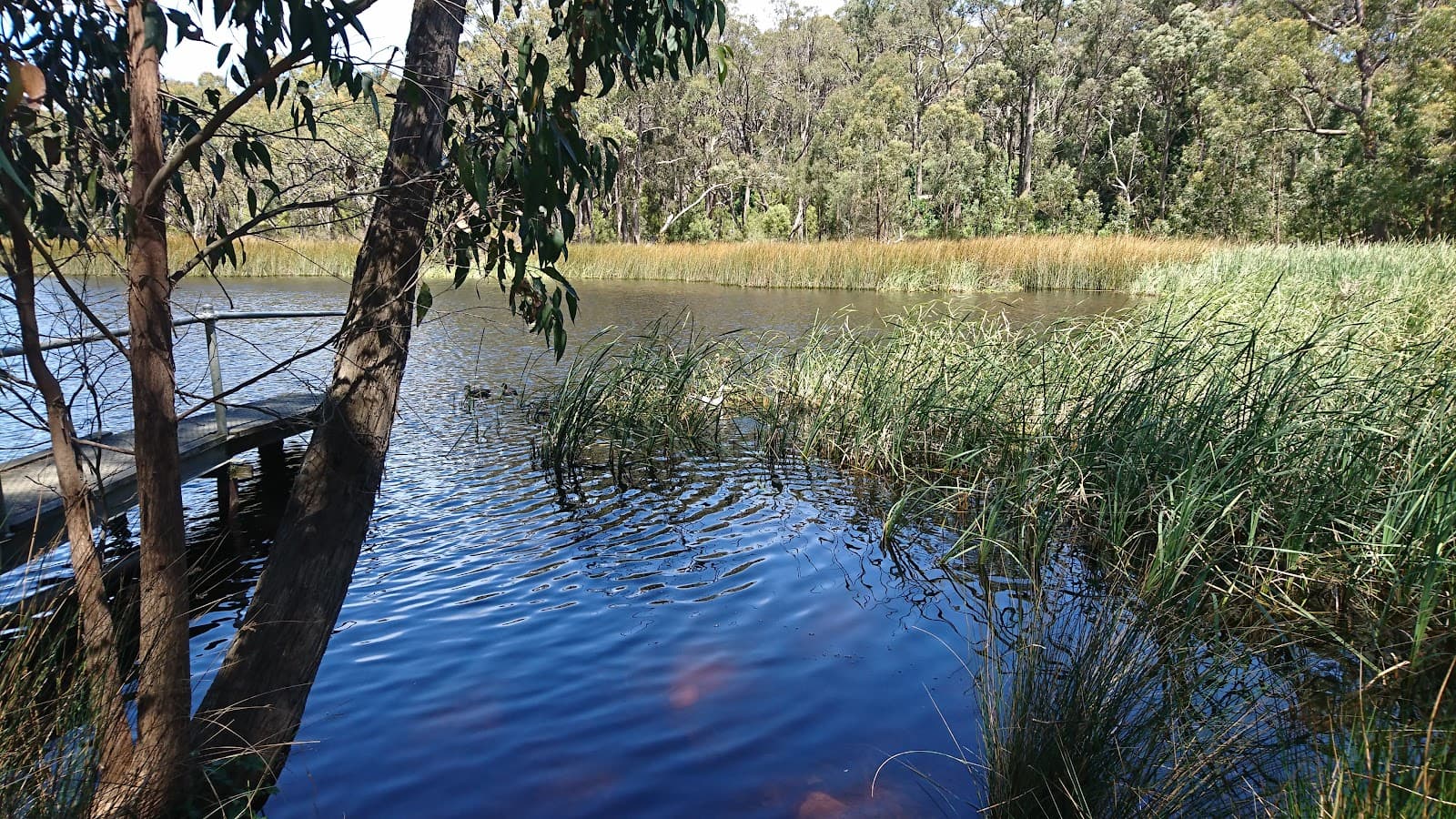 Woorabinda Bushland Reserve — Hahndorf, Adelaide