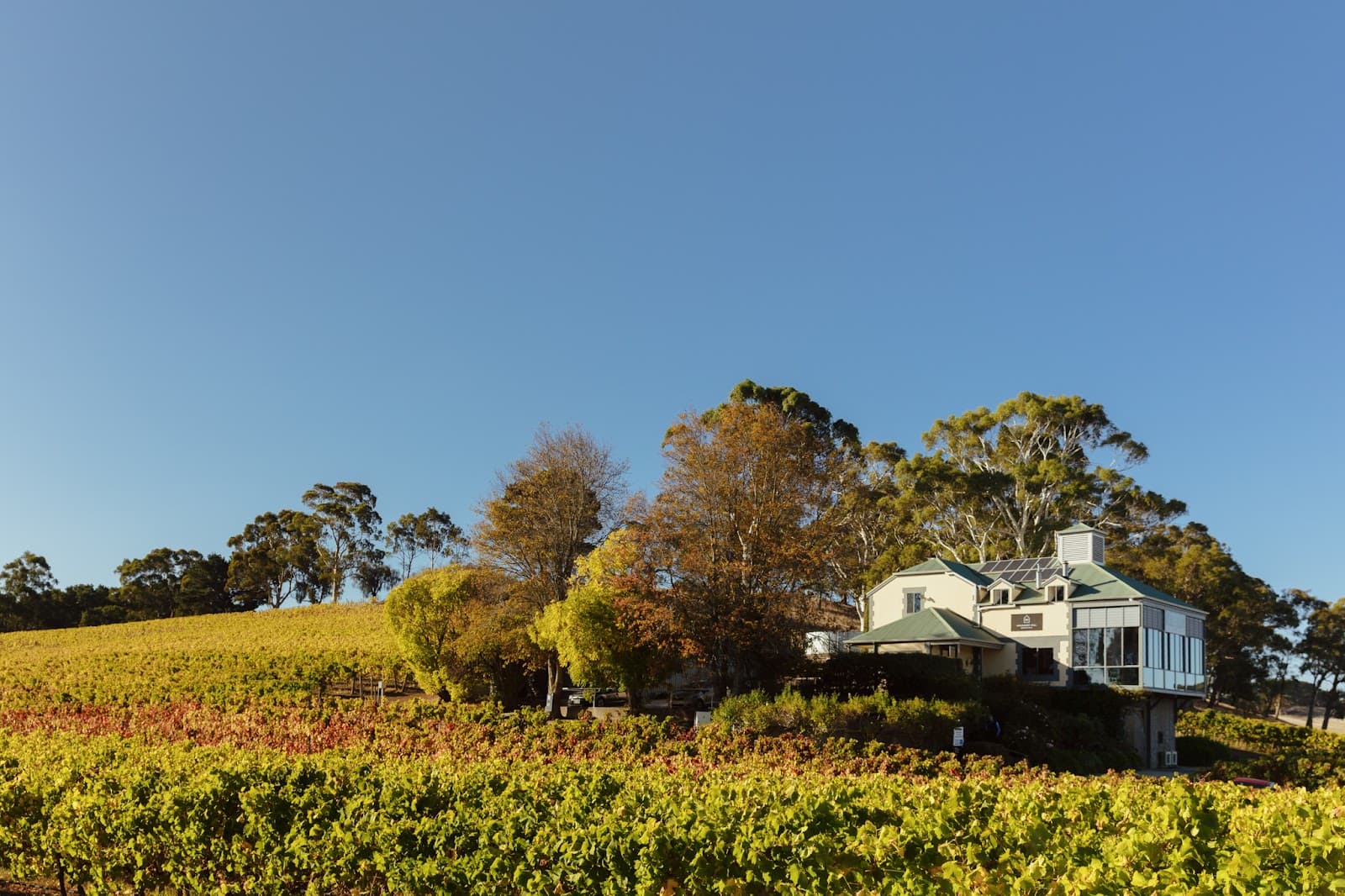 Hahndorf Hill Winery — Hahndorf, Adelaide